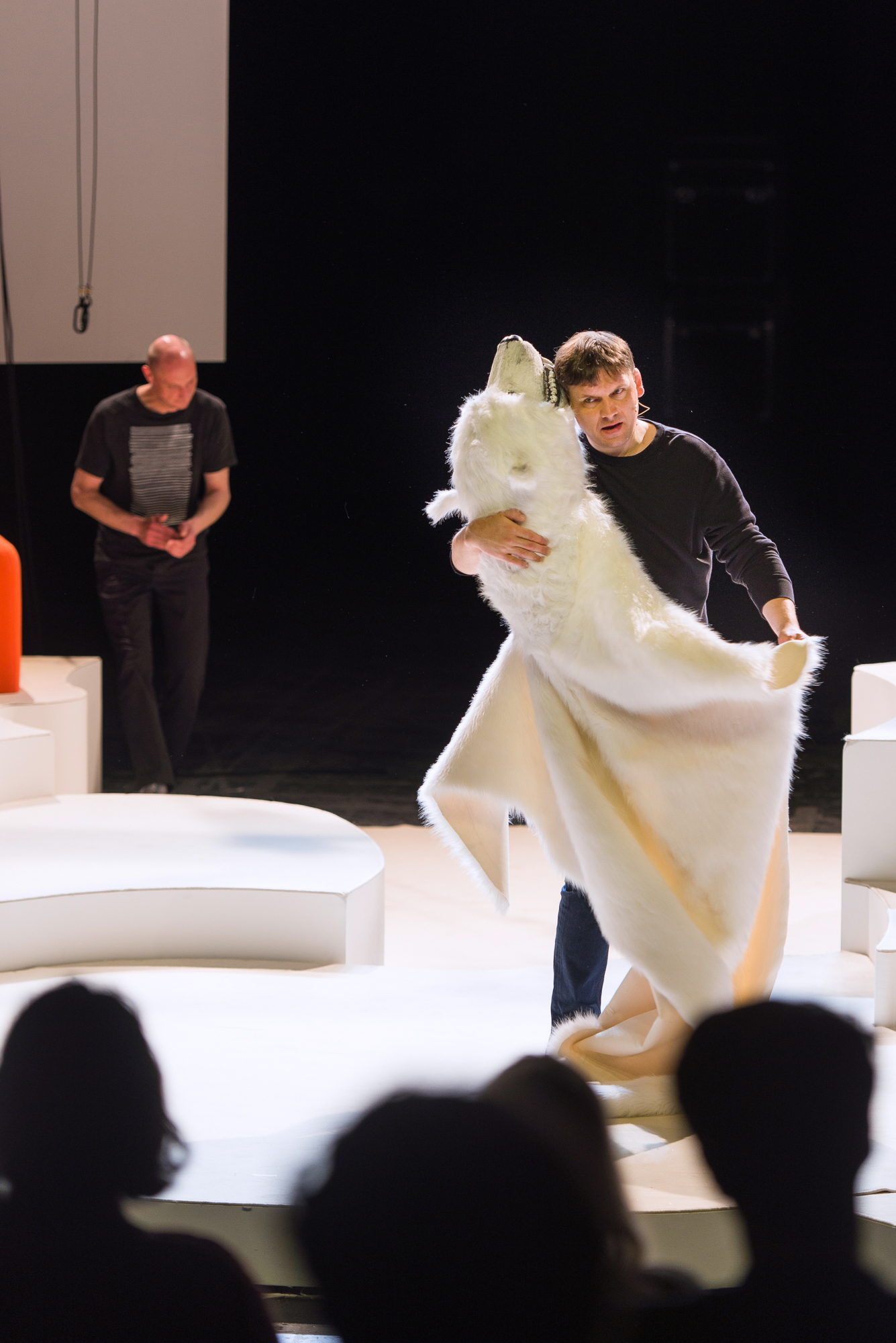 Chinchilla Arschloch, waswas. Nachrichten aus dem Zwischenhirn